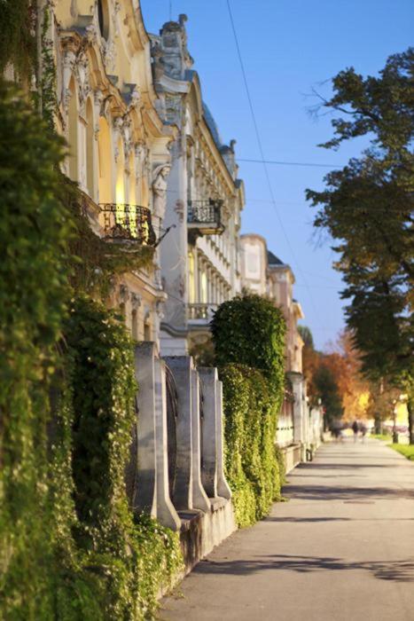 Konzul -Top Apartment, Strict Center, Parking Osijek Ngoại thất bức ảnh